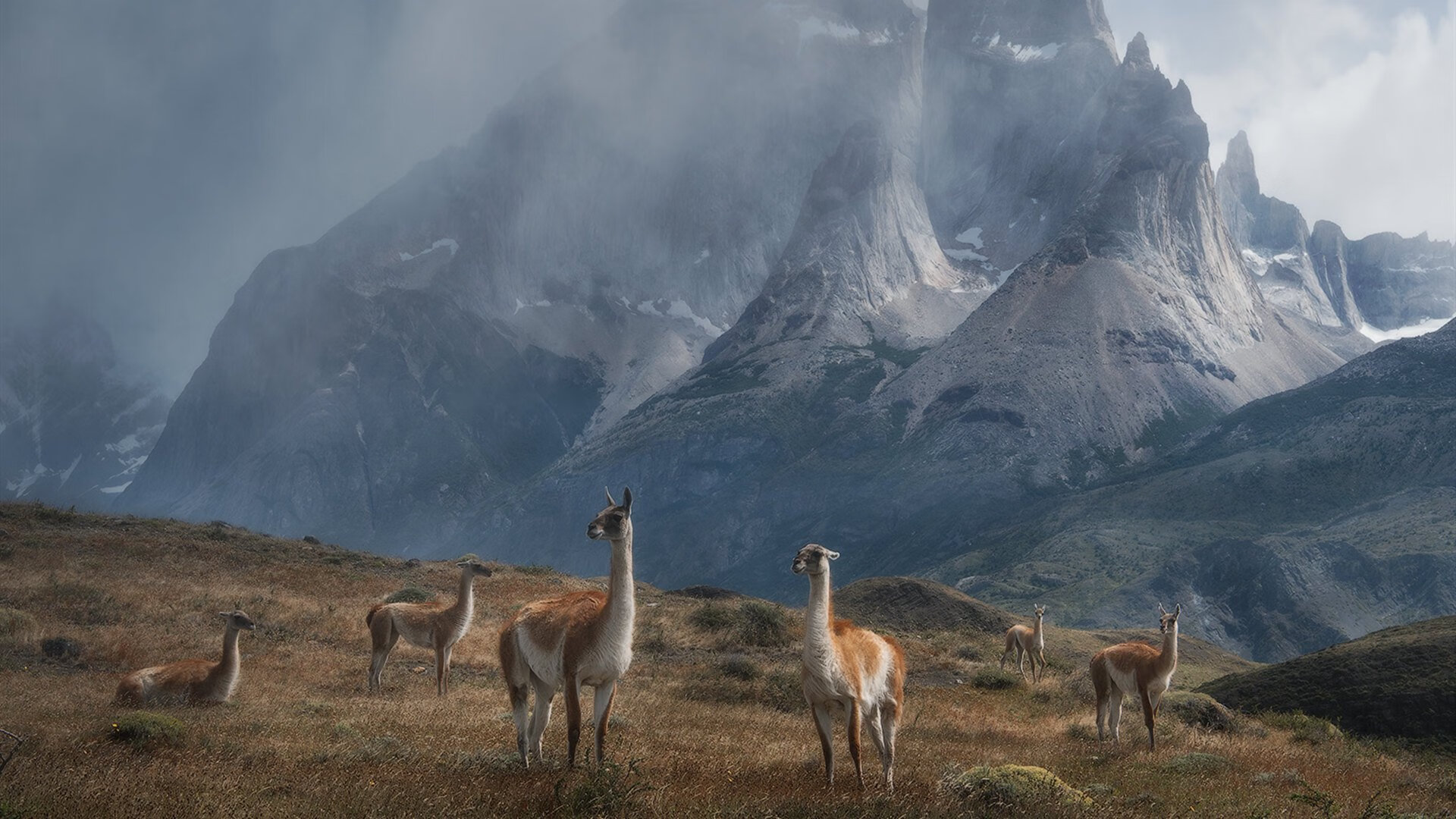 当加勒比磐石遭遇蔚蓝潮汐,哥斯达黎加的铁锁与京多安的密钥