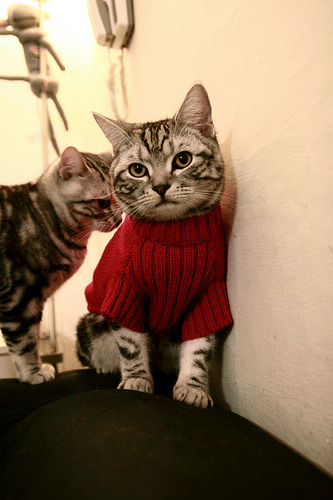 当足球魔术师驶入F1赛道，德布劳内加冕跨界之夜的真正王者