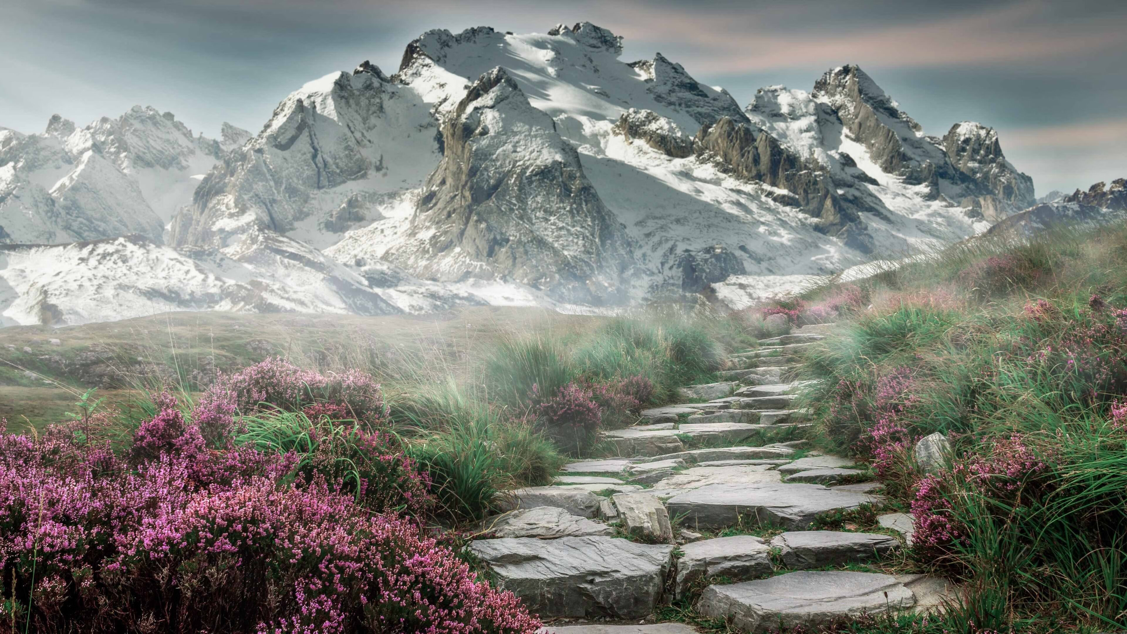 钢铁之师踏平狂沙，2026世界杯，乌克兰用足球治愈战争的伤痕