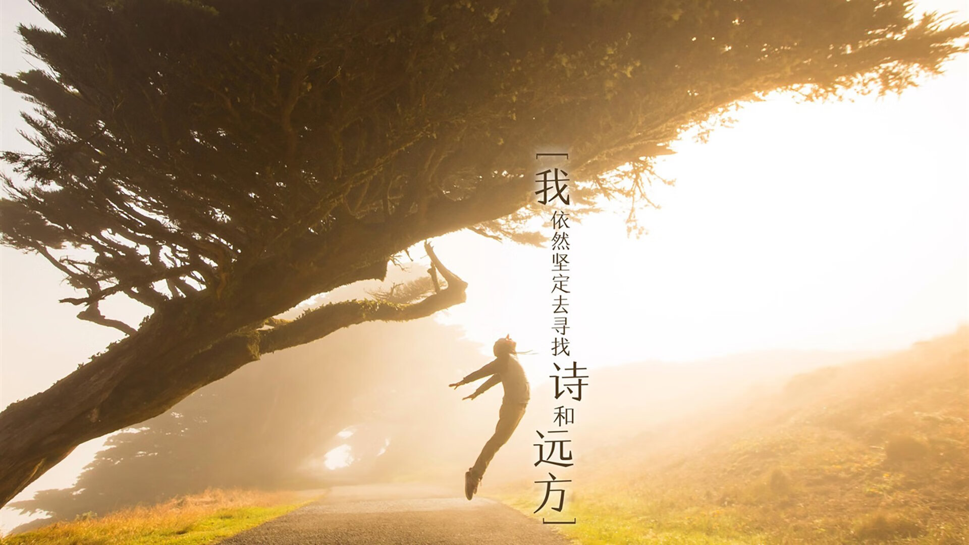 独舞者与反击战,李刚仁带动全队节奏,尼日利亚险胜尼斯