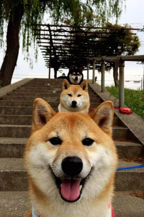 凯尔特人关键战独辟蹊径，拉梅洛逆袭热火成唯一变数