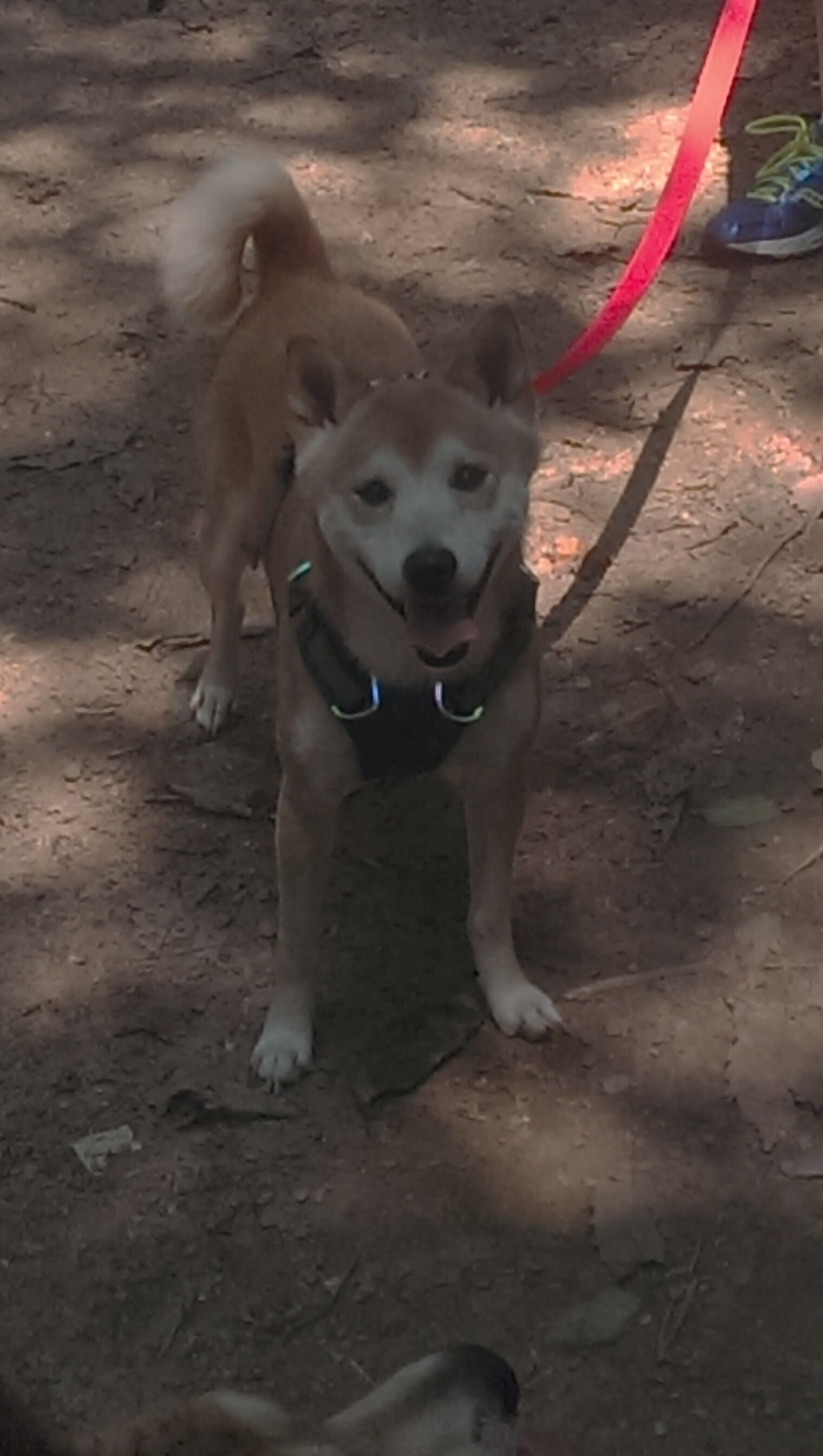 跨界时空的逆转，当步行者遇见山西，詹姆斯如何主宰命运棋局