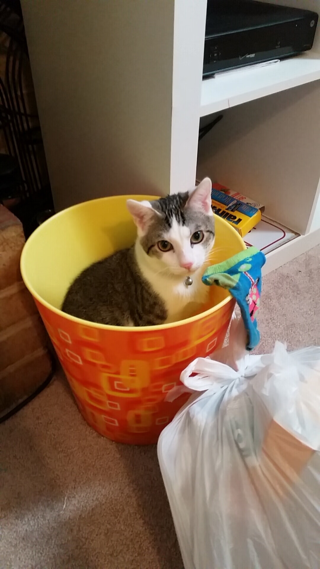 虚幻10厘米,阿尔米隆的脚尖如何刺穿红龙的心脏