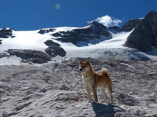 风暴与郁金香，阿尔瓦雷斯点燃战场，荷兰三分钟改写命运