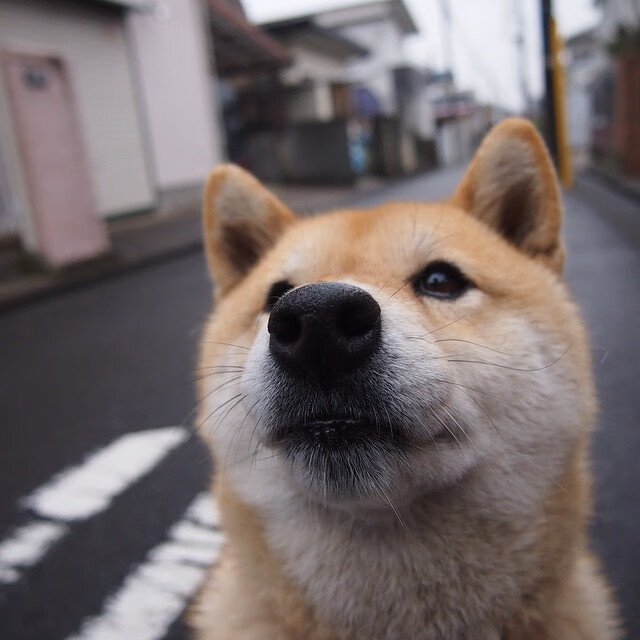 雷霆万钧，凯尔特人团队碾压成序曲，杜兰特死神镰刀定终章