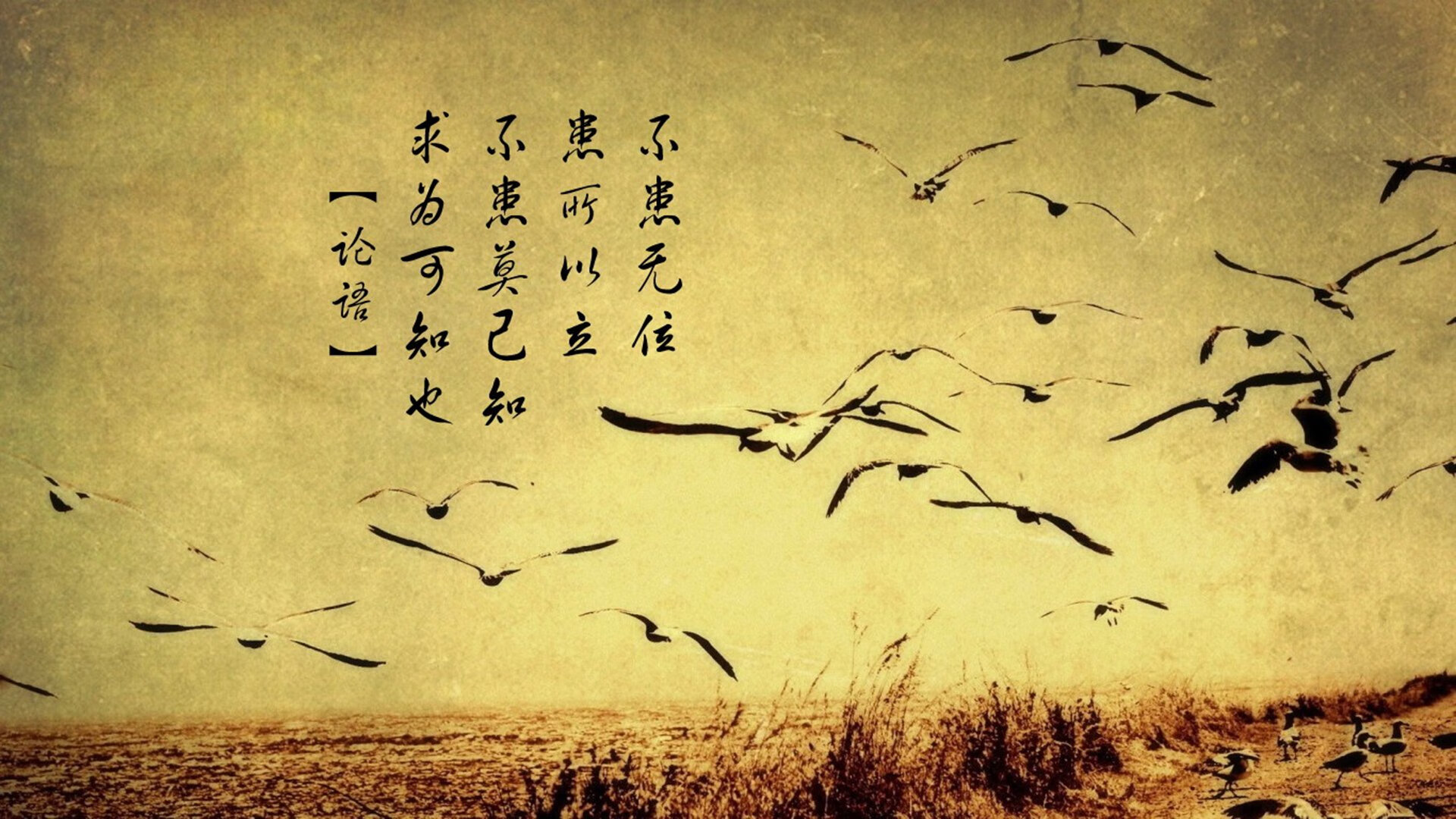 历史奇妙共振，当斯通斯腰卫爆发，照亮那不勒斯锁死国米的战术蓝本