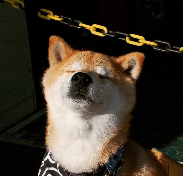 利拉德关键发挥助国王队力克深圳队，国际友谊赛见证巨星风采