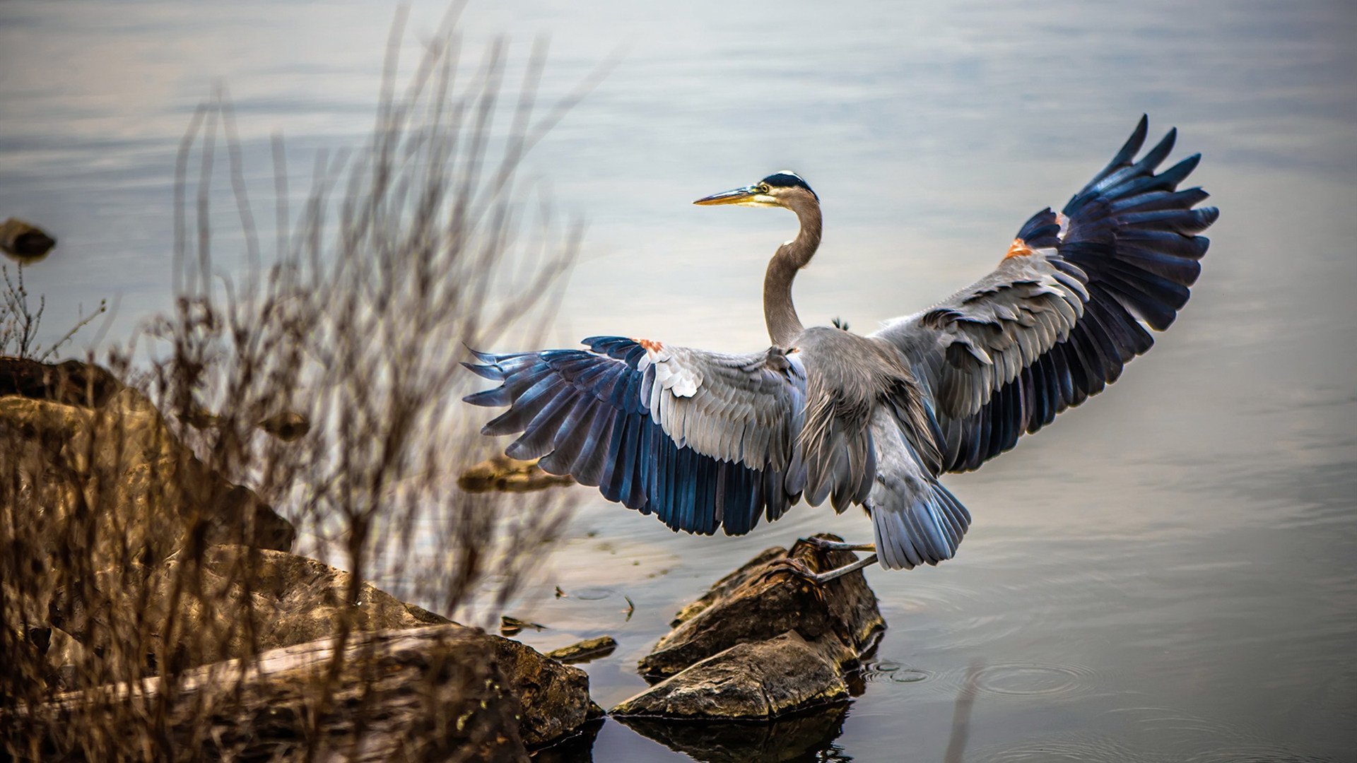 星辰坠落，当班凯罗的50分传奇遇上独行侠的团队胜利