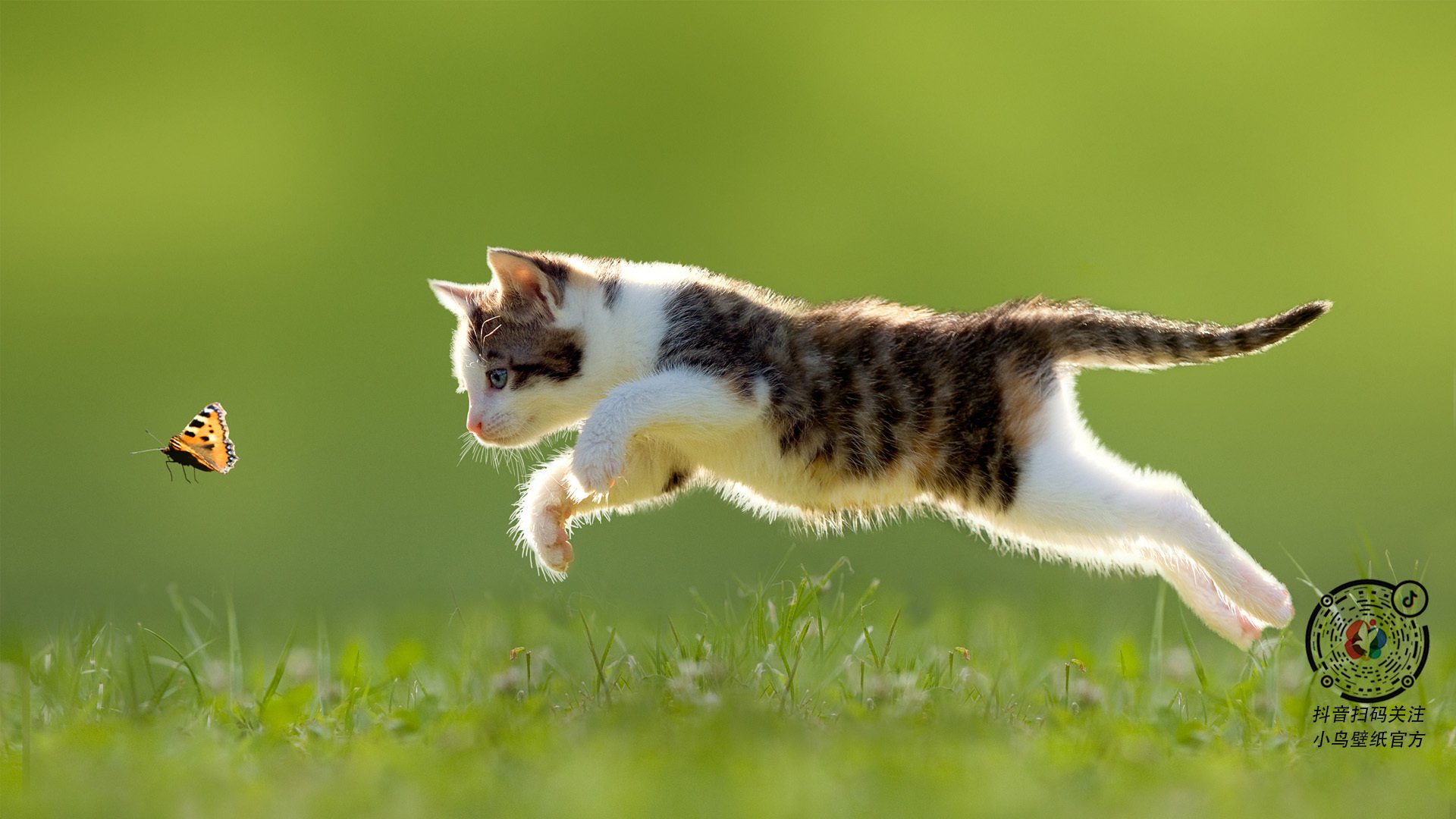 破魔时刻，哈利伯顿收割爵士魔术，西决生死战上演新王加冕礼