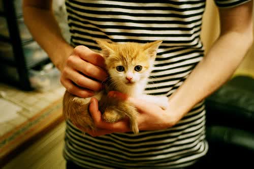 利刃刺破长夜，布鲁诺加时一箭，定鼎西班牙通向荣耀的窄门