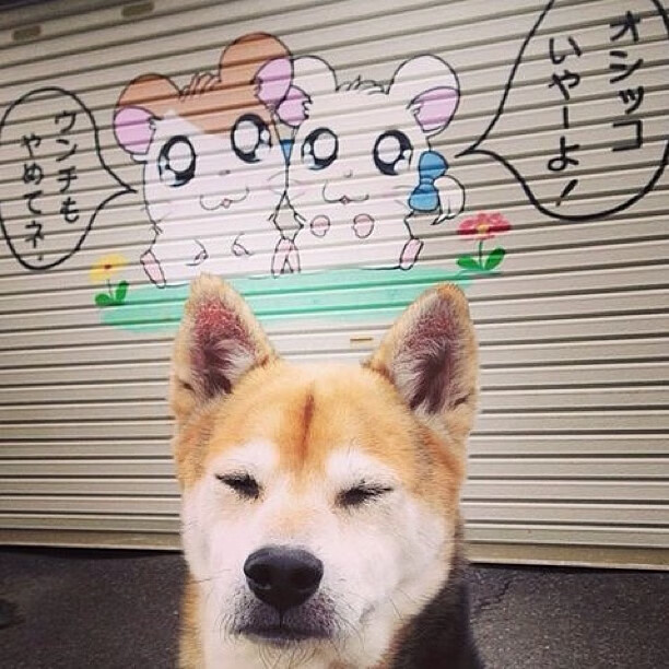 铁壁前的风暴，日本风暴强压毕尔巴鄂，蒂亚戈化身破局者