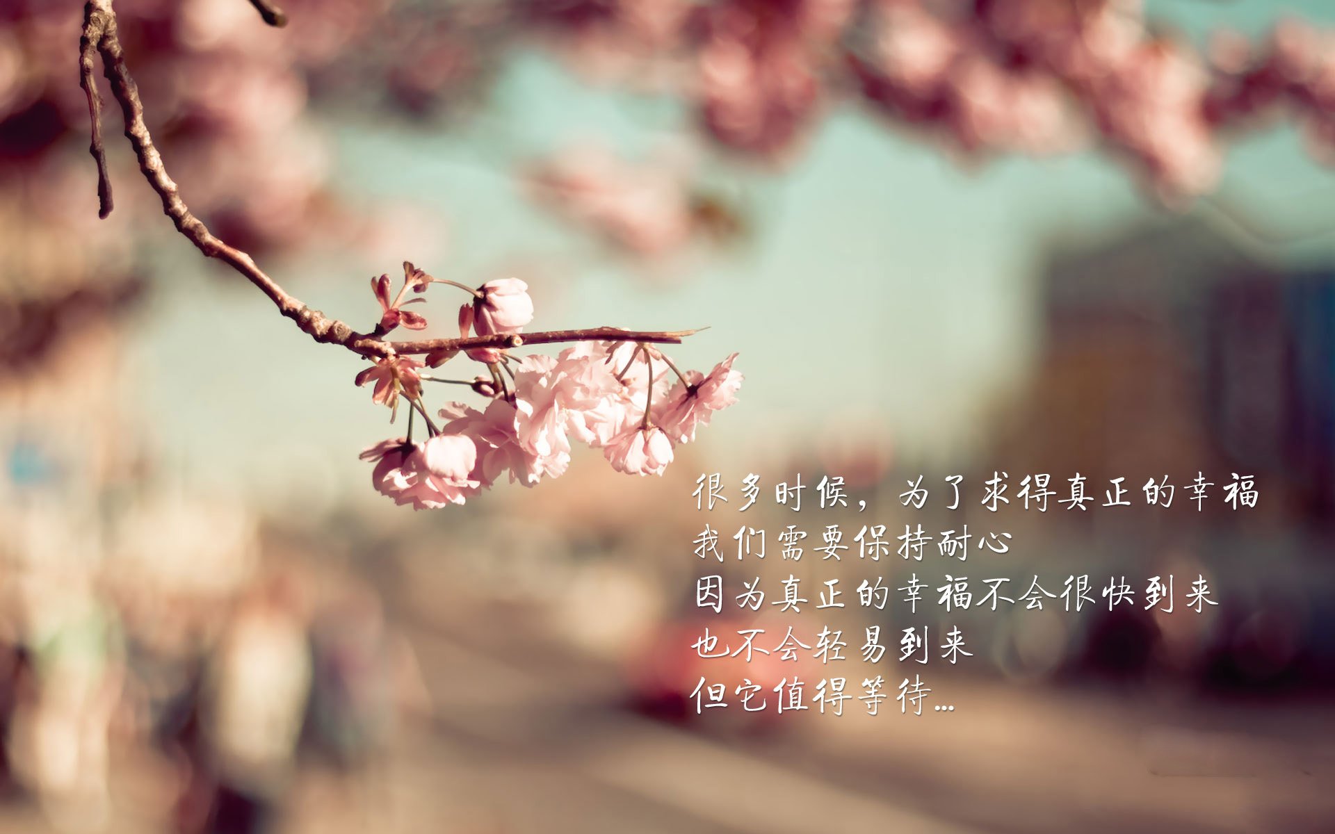 巴格达的雪与巴黎的霜,2026世界杯E组,一场隐喻世界裂痕的致命一击