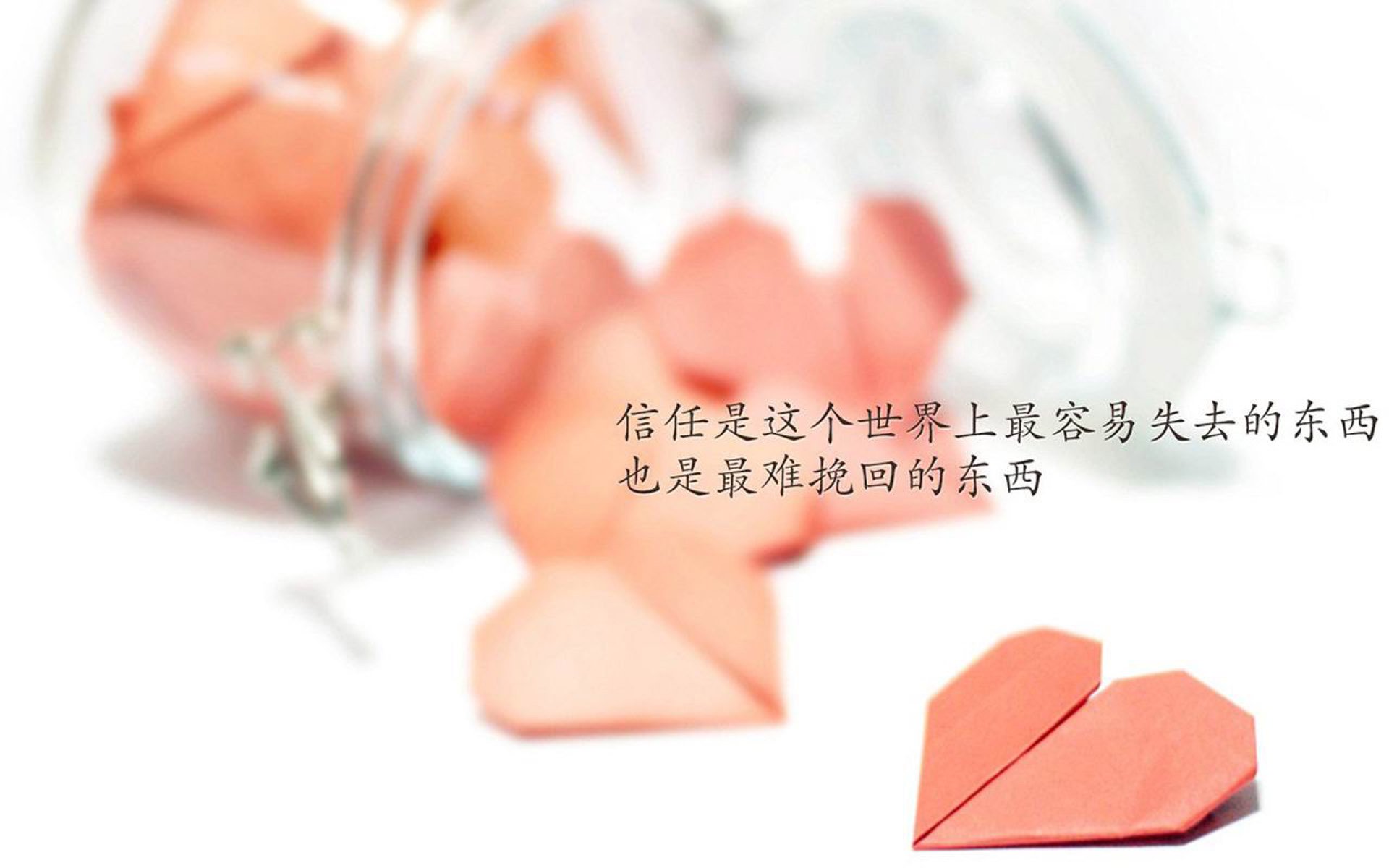 命运的交织与绝境重生，2026世界杯B组，穆西亚拉如何以一人之力，改写加纳与葡萄牙的宿命剧本